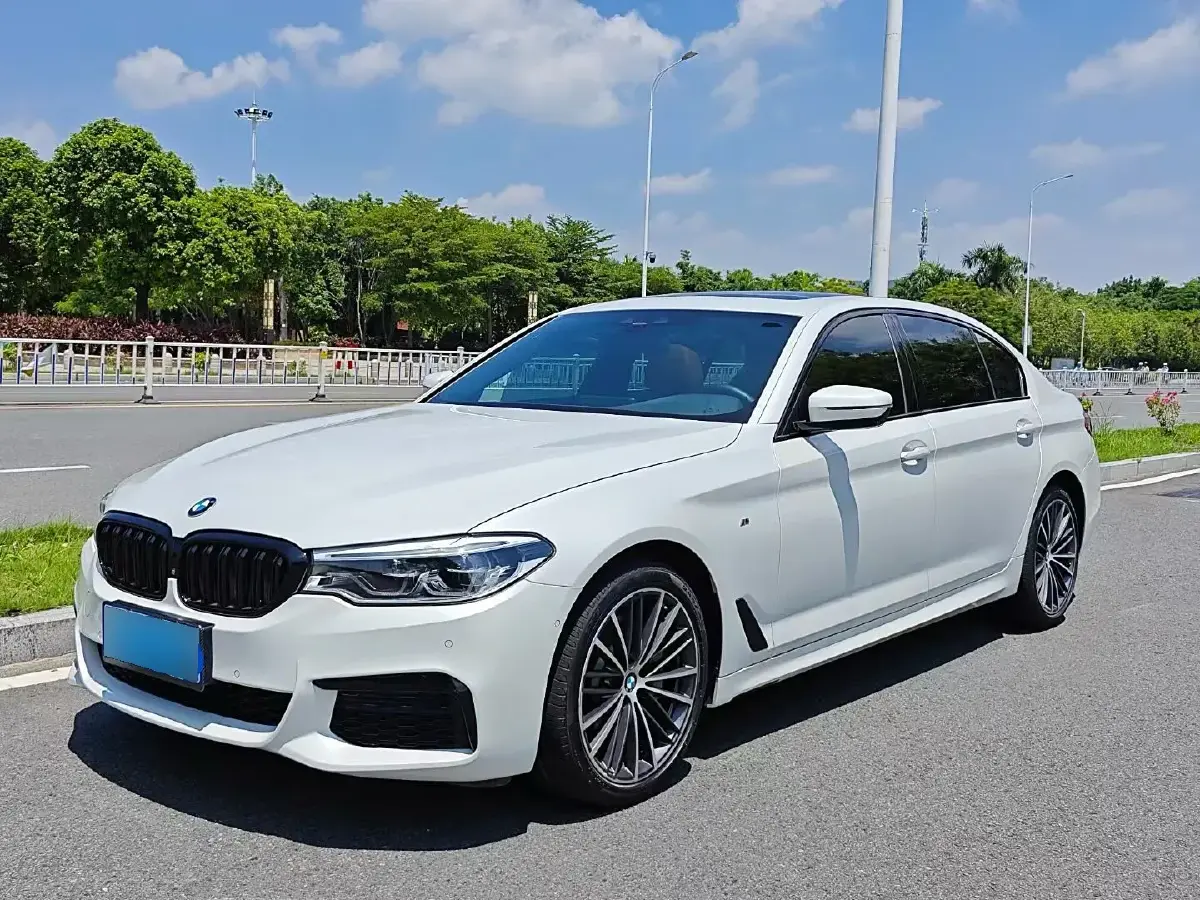 2019 BMW 5 Series 2.0T 252HP L4 8AT