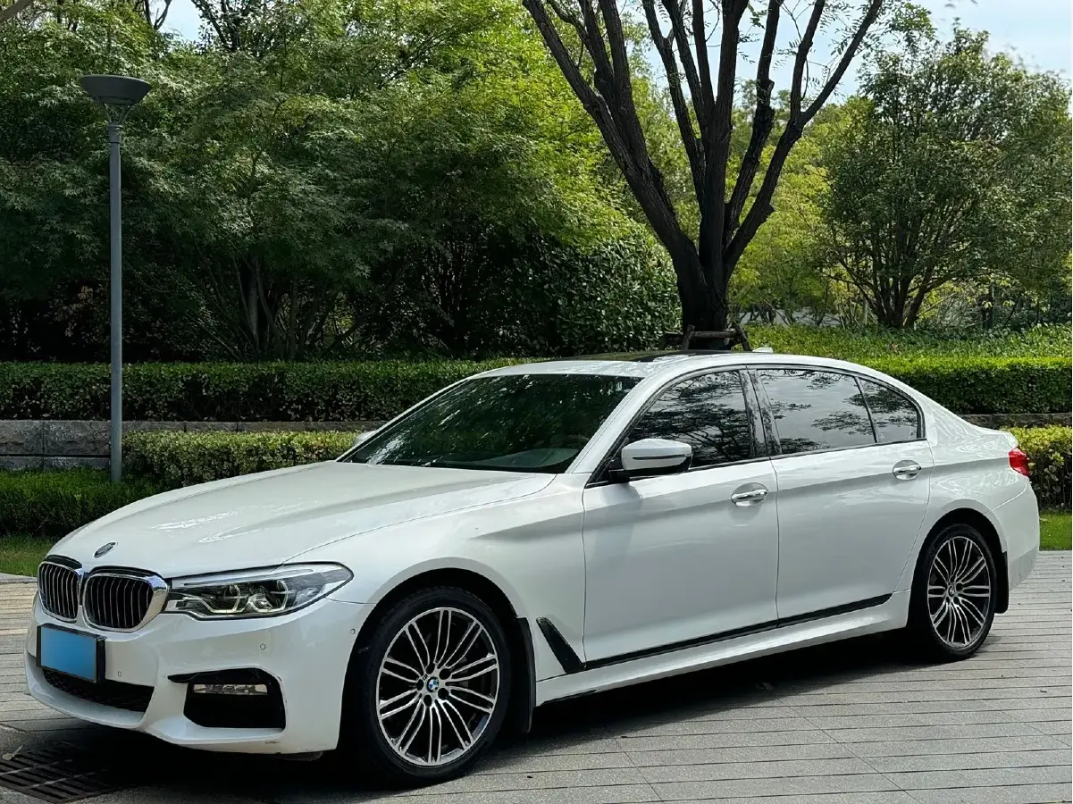 2018 BMW 5 Series 2.0T 252HP L4 8AT