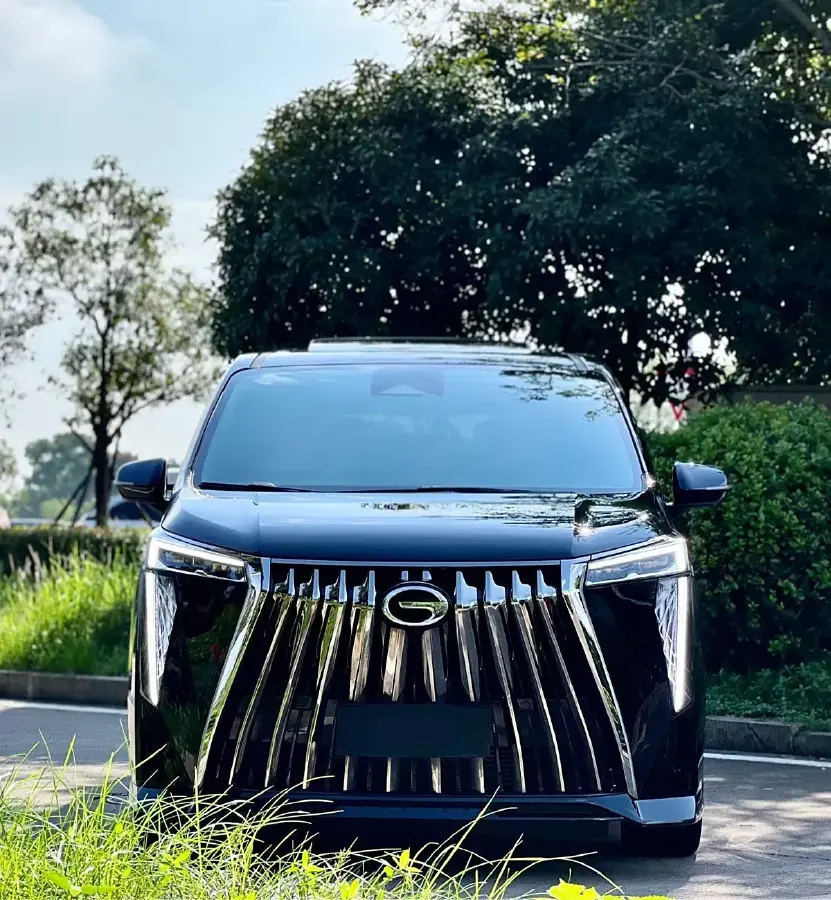 2023 GAC Trumpchi M8 2.0T 252HP L4 8AT