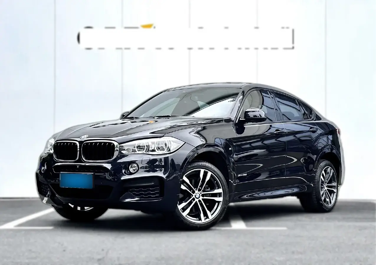 2018 BMW X6 3.0T 306HP L6 8AT
