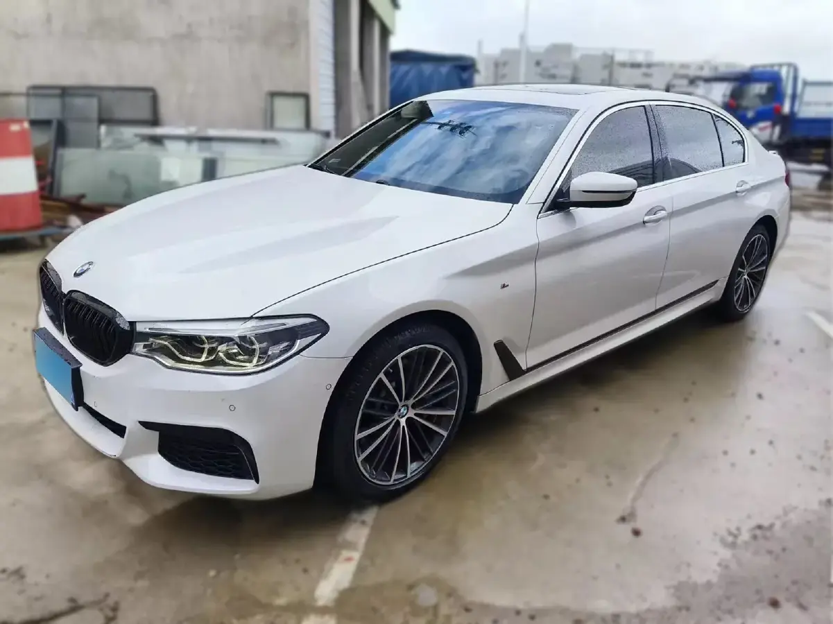 2019 BMW 5 Series 2.0T 252HP L4 8AT