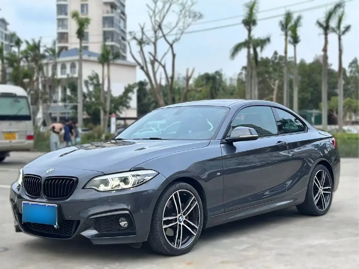 2019 BMW 2 Series 2.0T 184HP L4 8AT
