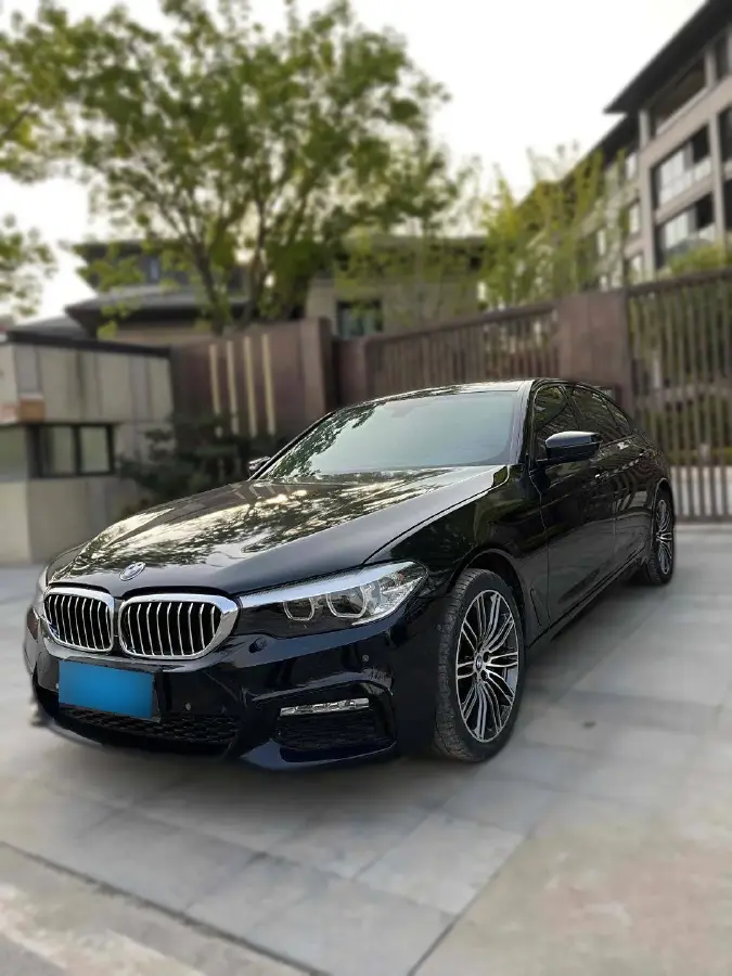 2018 BMW 5 Series 2.0T 252HP L4 8AT