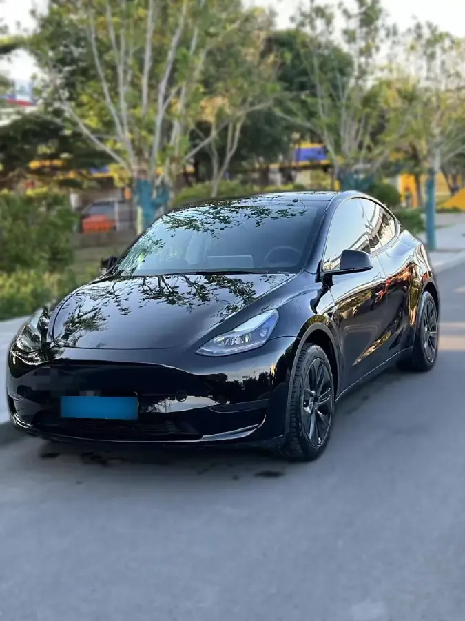 2024 Tesla Model Y BEV 60KWH