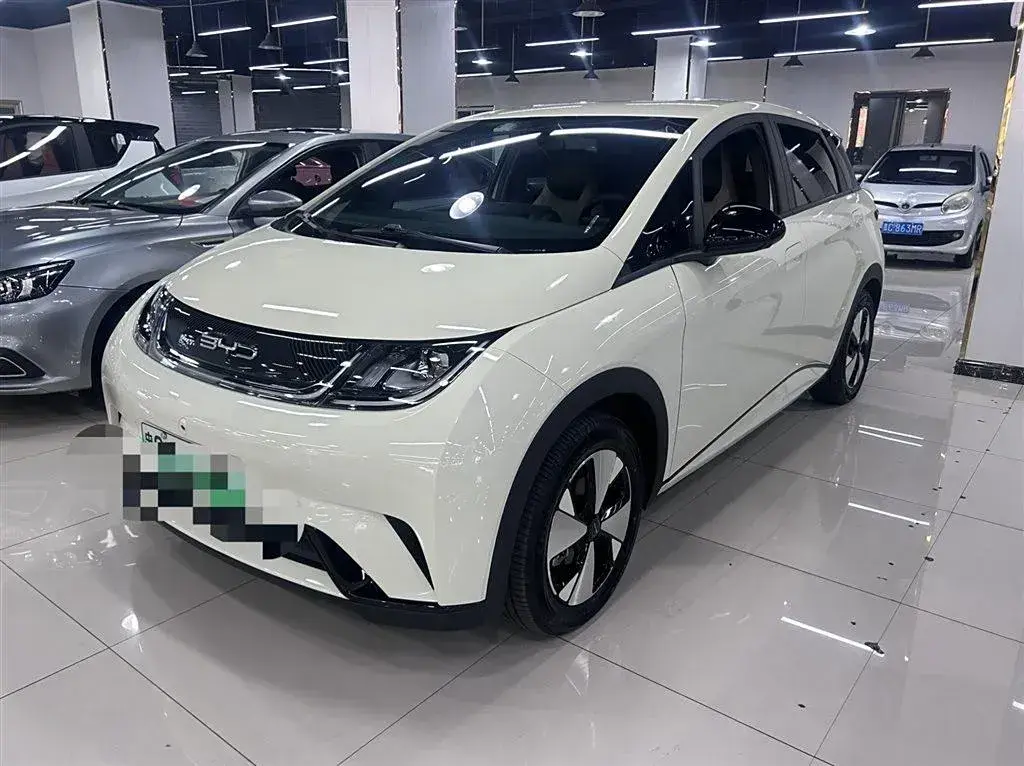 2023 BYD Dolphin BEV 44.928KWH