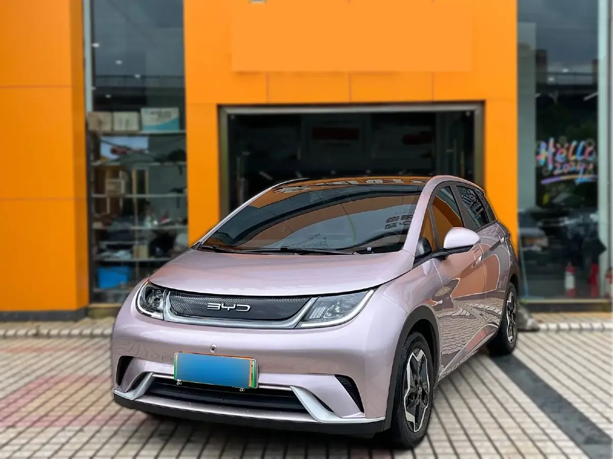 2021 BYD Dolphin BEV 44.9KWH