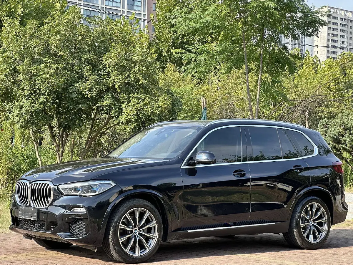 2021 BMW X5 3.0T 340HP L6 8AT