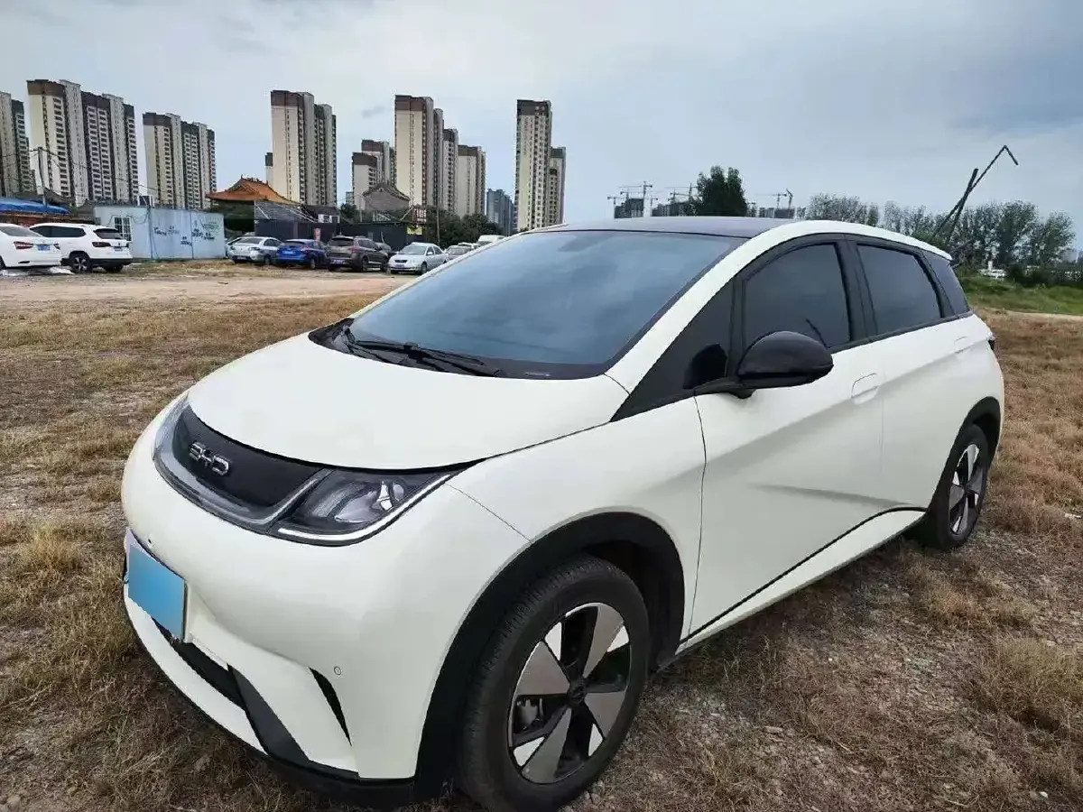 2023 BYD Dolphin BEV 44.928KWH