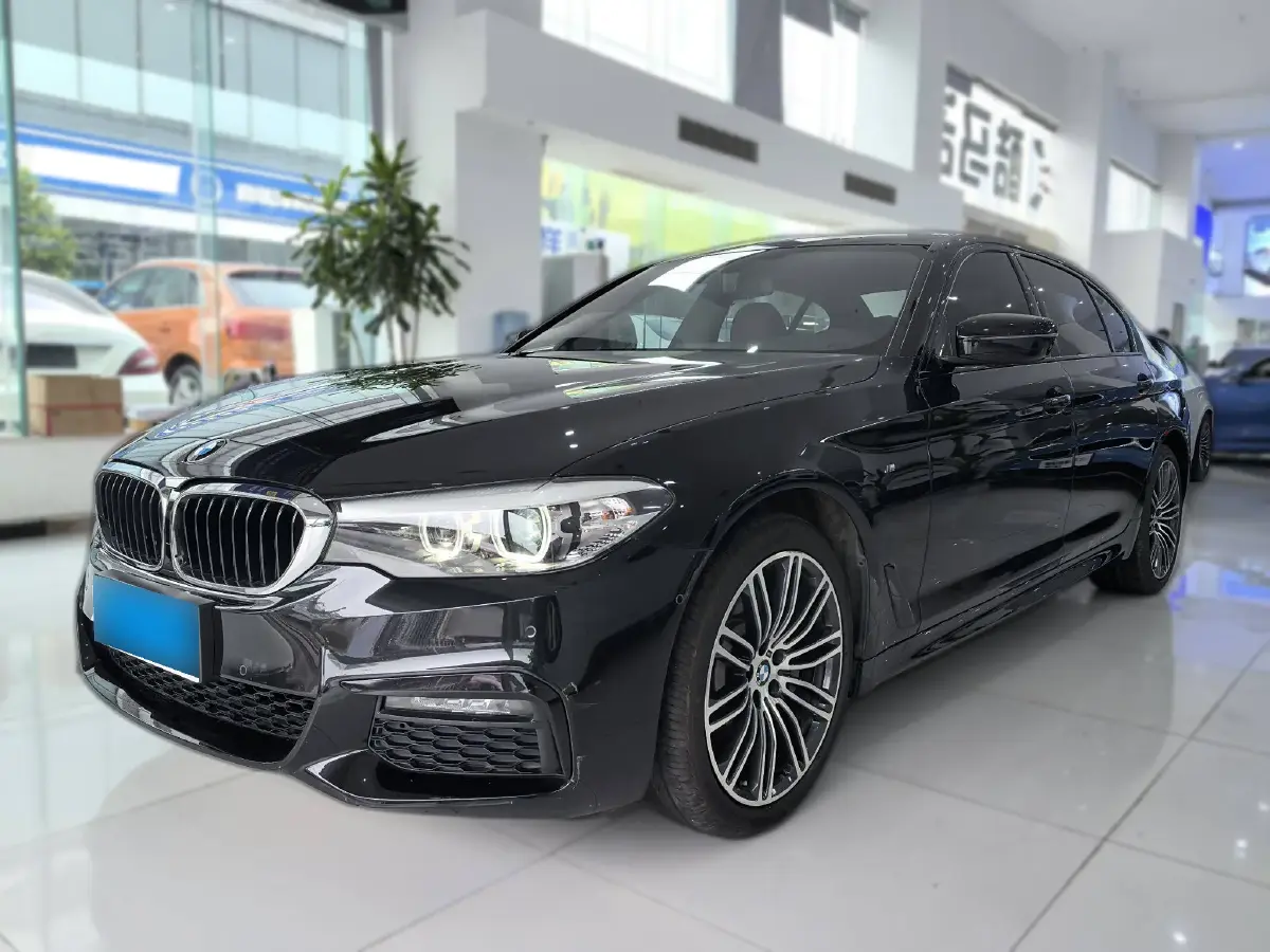 2019 BMW 5 Series 2.0T 252HP L4 8AT