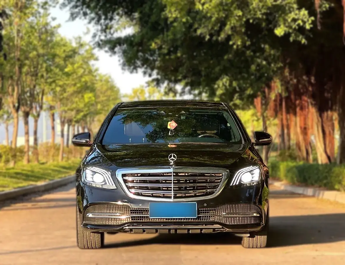 2019 Mercedes-Benz S Class 3.0T 313HP V6 9AT