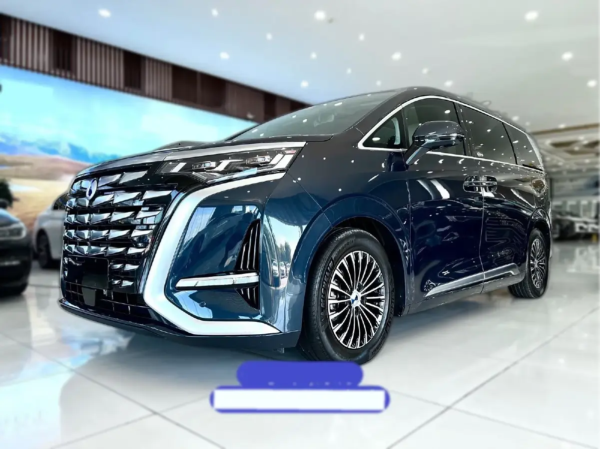 2022 Denza D9 1.5T 139HP L4 E-CVT PHEV 40.06KWH