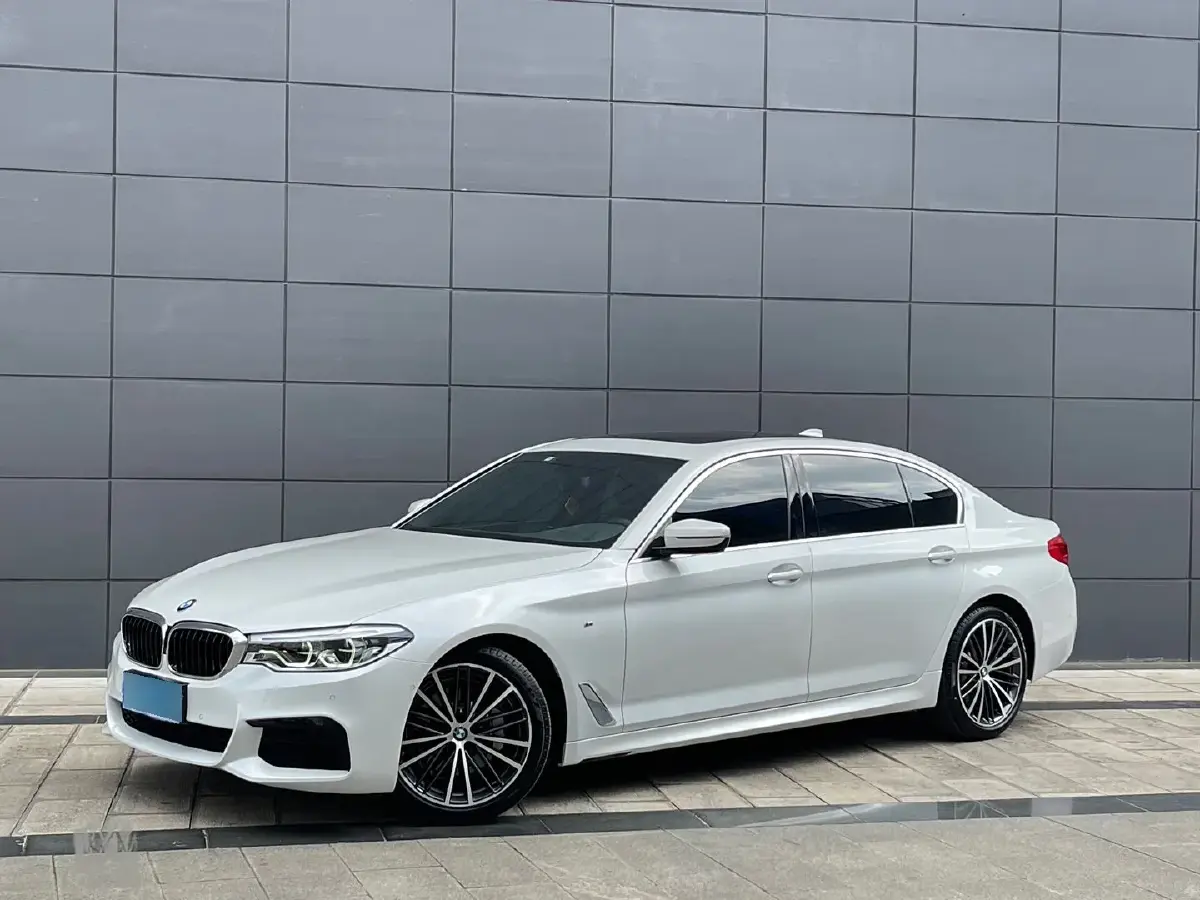 2020 BMW 5 Series 2.0T 252HP L4 8AT