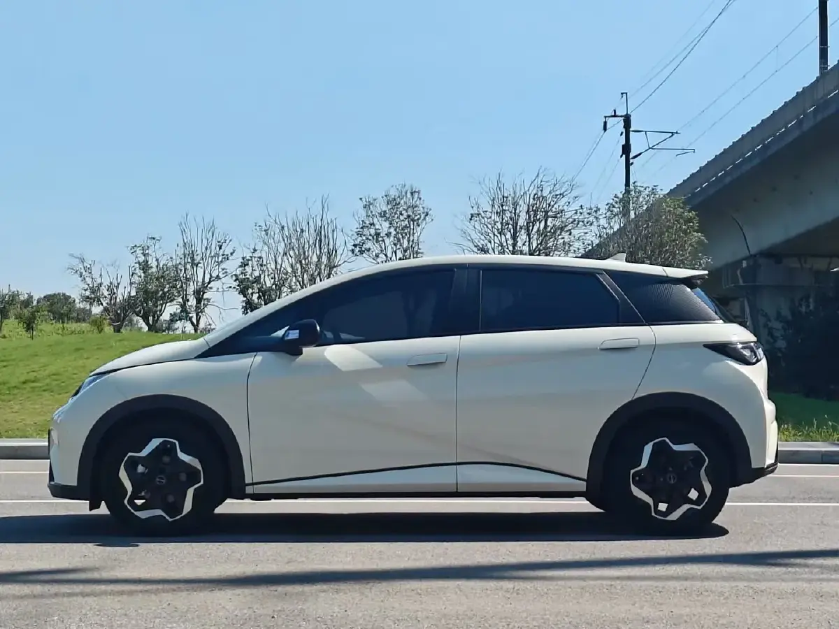 2021 BYD Dolphin BEV 44.9KWH