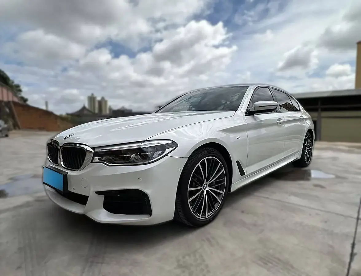 2019 BMW 5 Series 2.0T 252HP L4 8AT