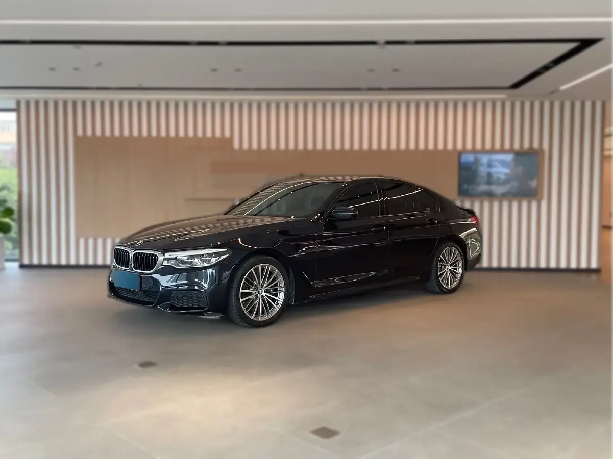 2019 BMW 5 Series 2.0T 252HP L4 8AT
