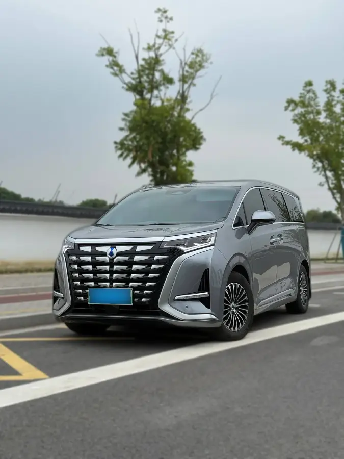 2022 Denza D9 1.5T 139HP L4 E-CVT PHEV 40.06KWH