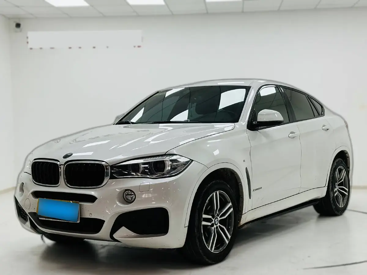2018 BMW X6 3.0T 306HP L6 8AT