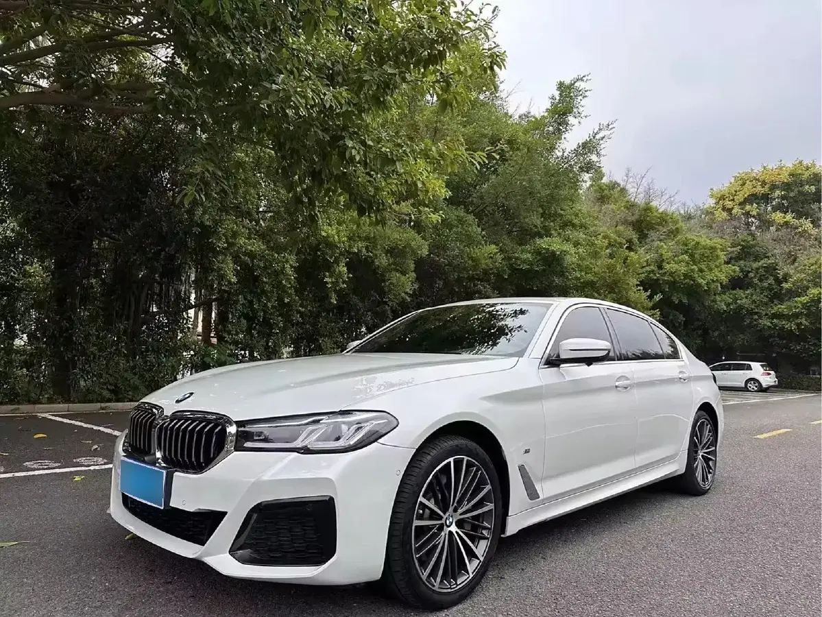 2022 BMW 5 Series 2.0T 252HP L4 8AT