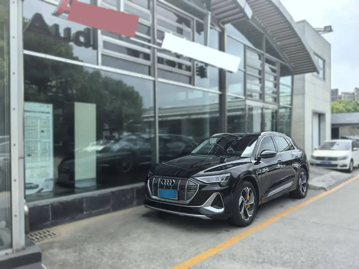 2021 Audi e-tron BEV 96.7KWH