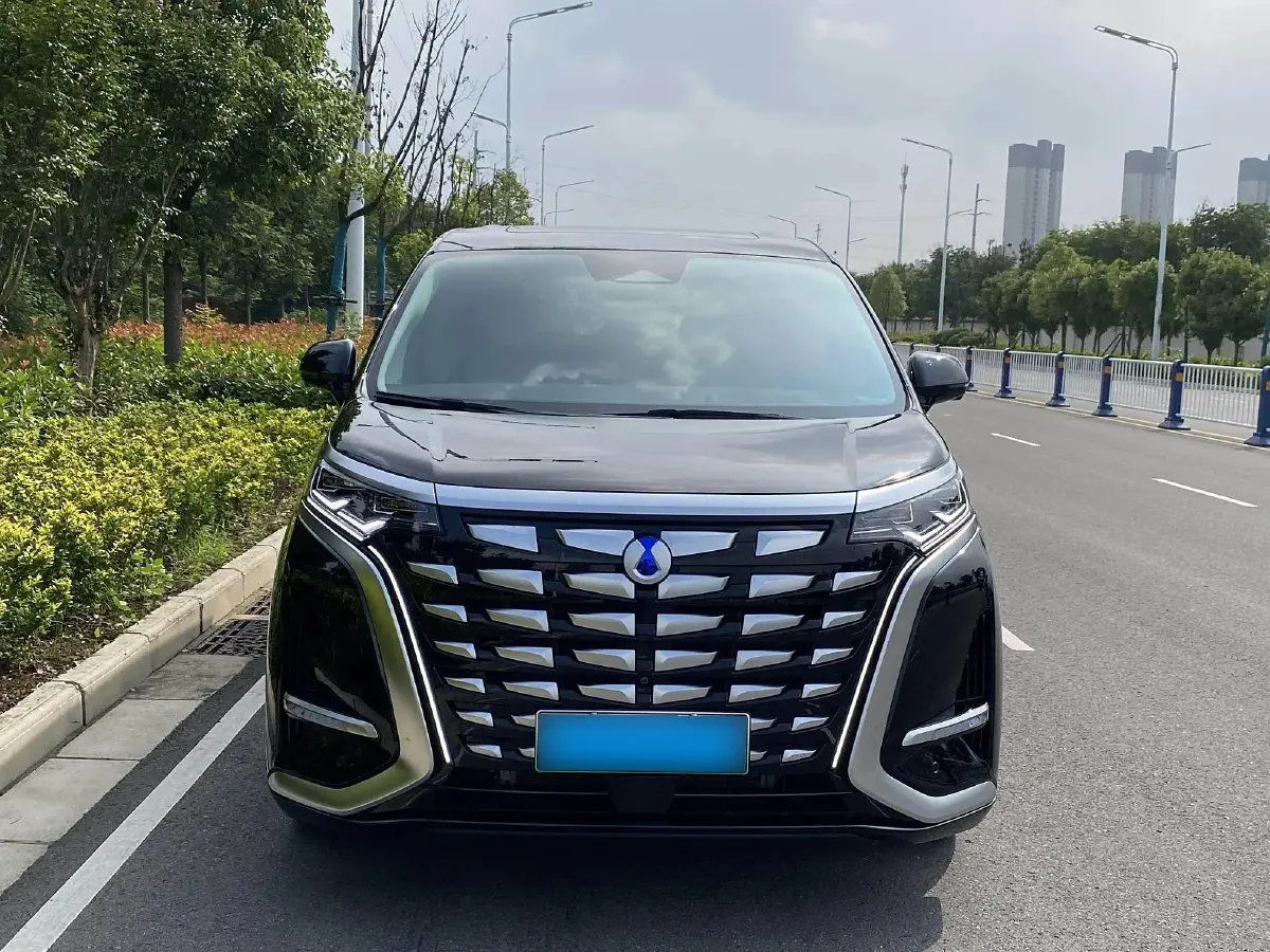 2022 Denza D9 1.5T 139HP L4 E-CVT PHEV 40.06KWH