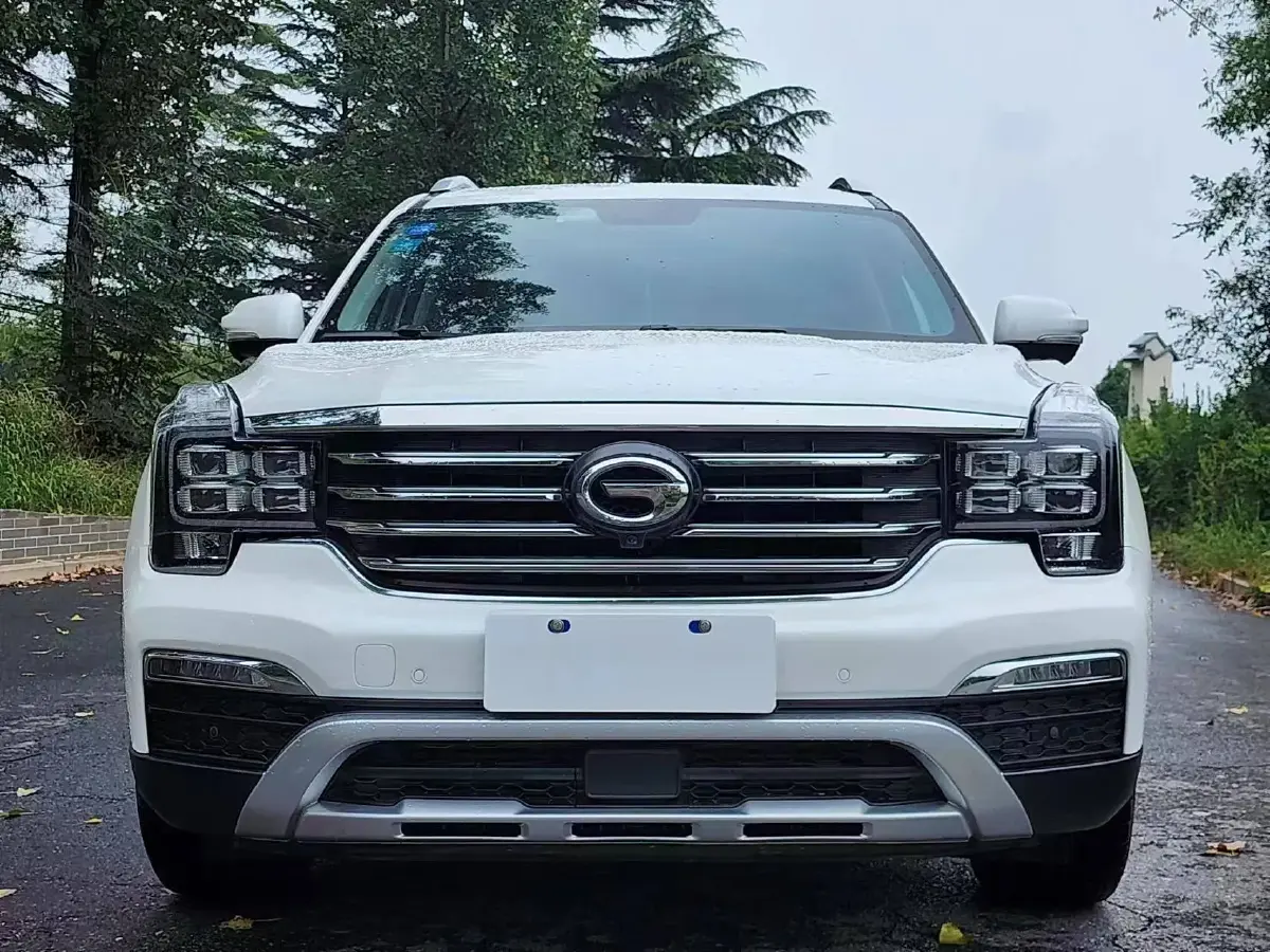 2019 GAC Trumpchi GS8 2.0T 252HP L4 6AT