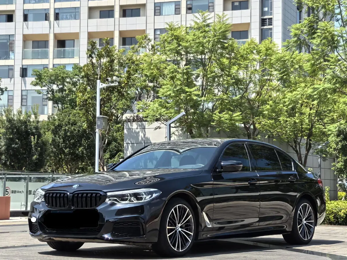 2020 BMW 5 Series 2.0T 252HP L4 8AT
