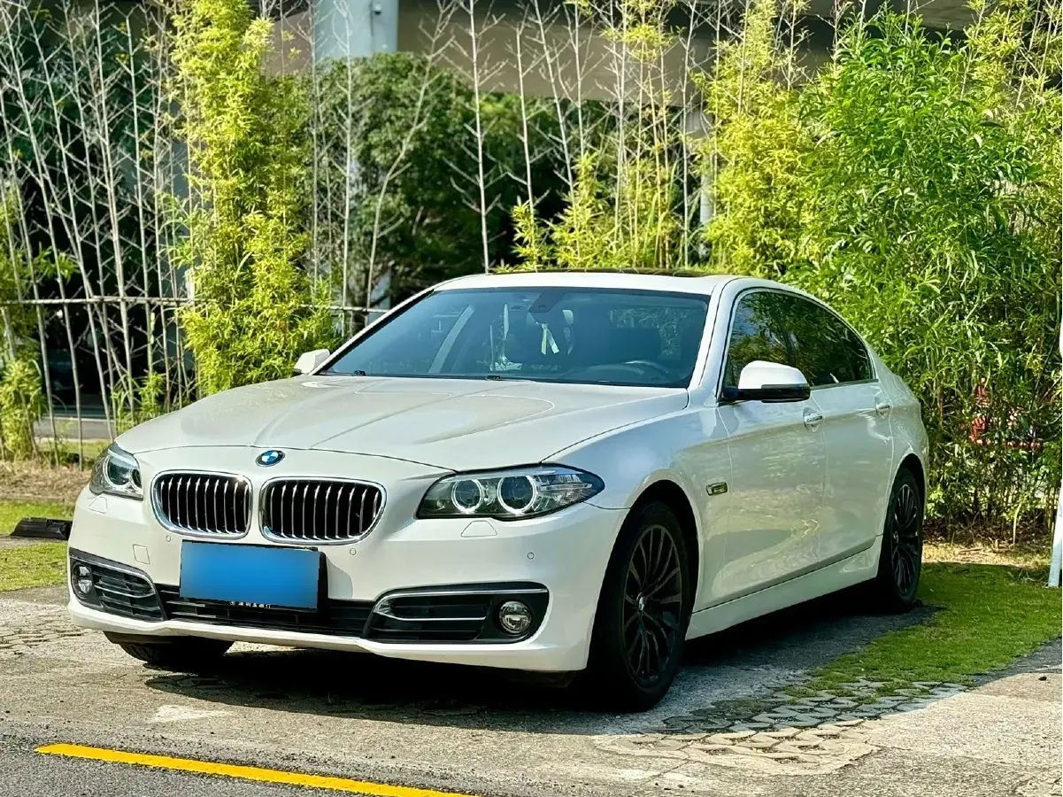 2017 BMW 5 Series 2.0T 218HP L4 8AT