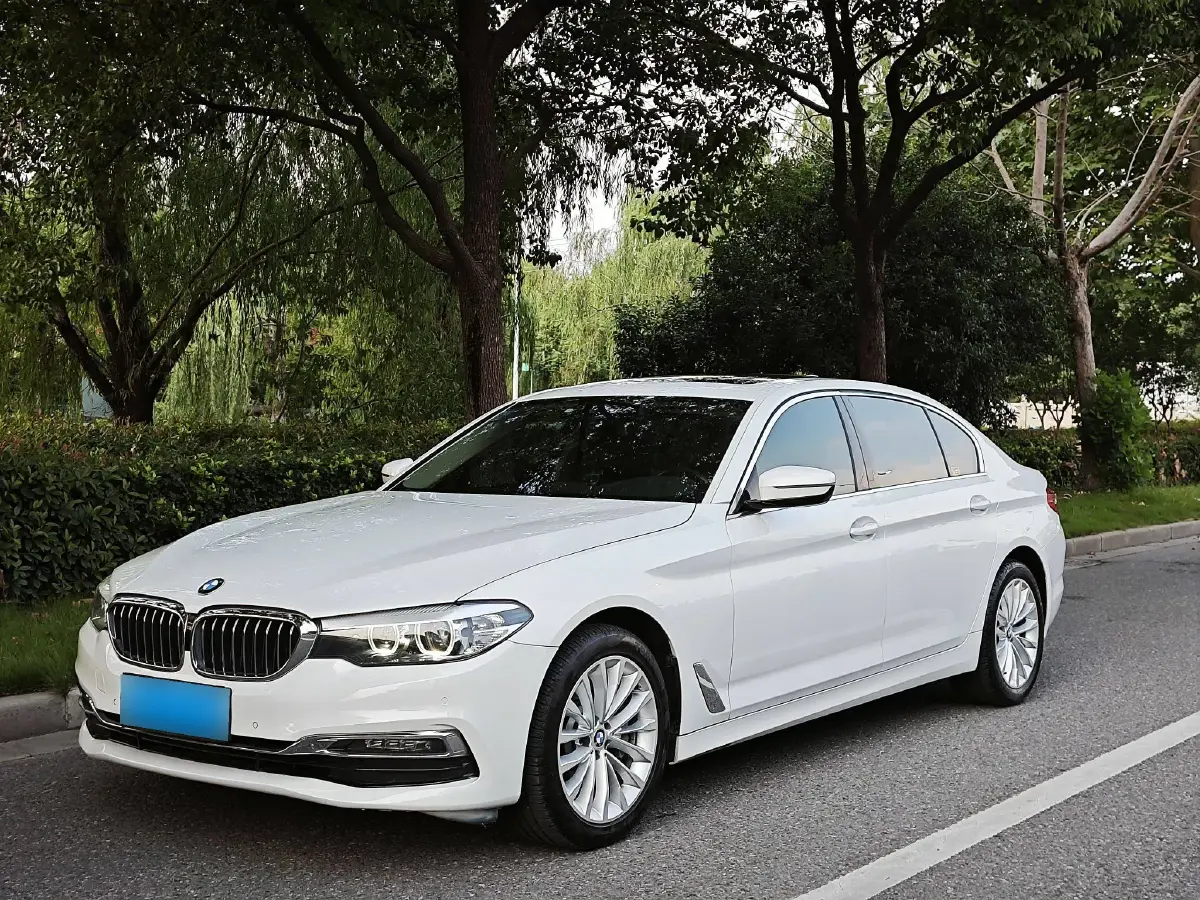 2019 BMW 5 Series 2.0T 252HP L4 8AT