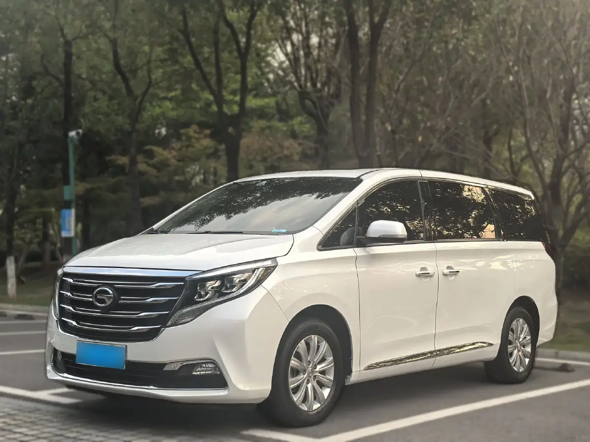 2018 GAC Trumpchi M8 2.0T 201HP L4 6AT