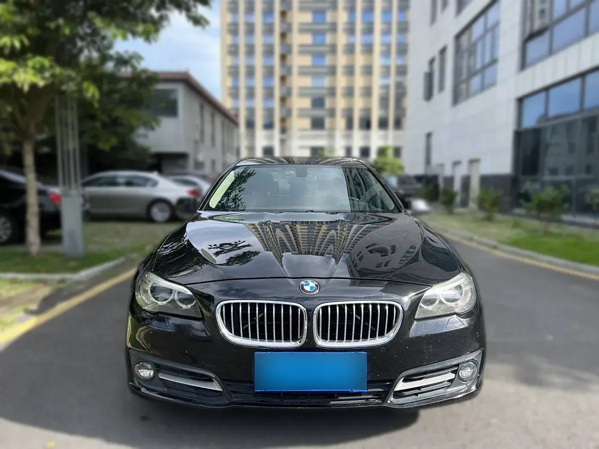 2010 BMW 5 Series 2.5L 177HP L6 6AT