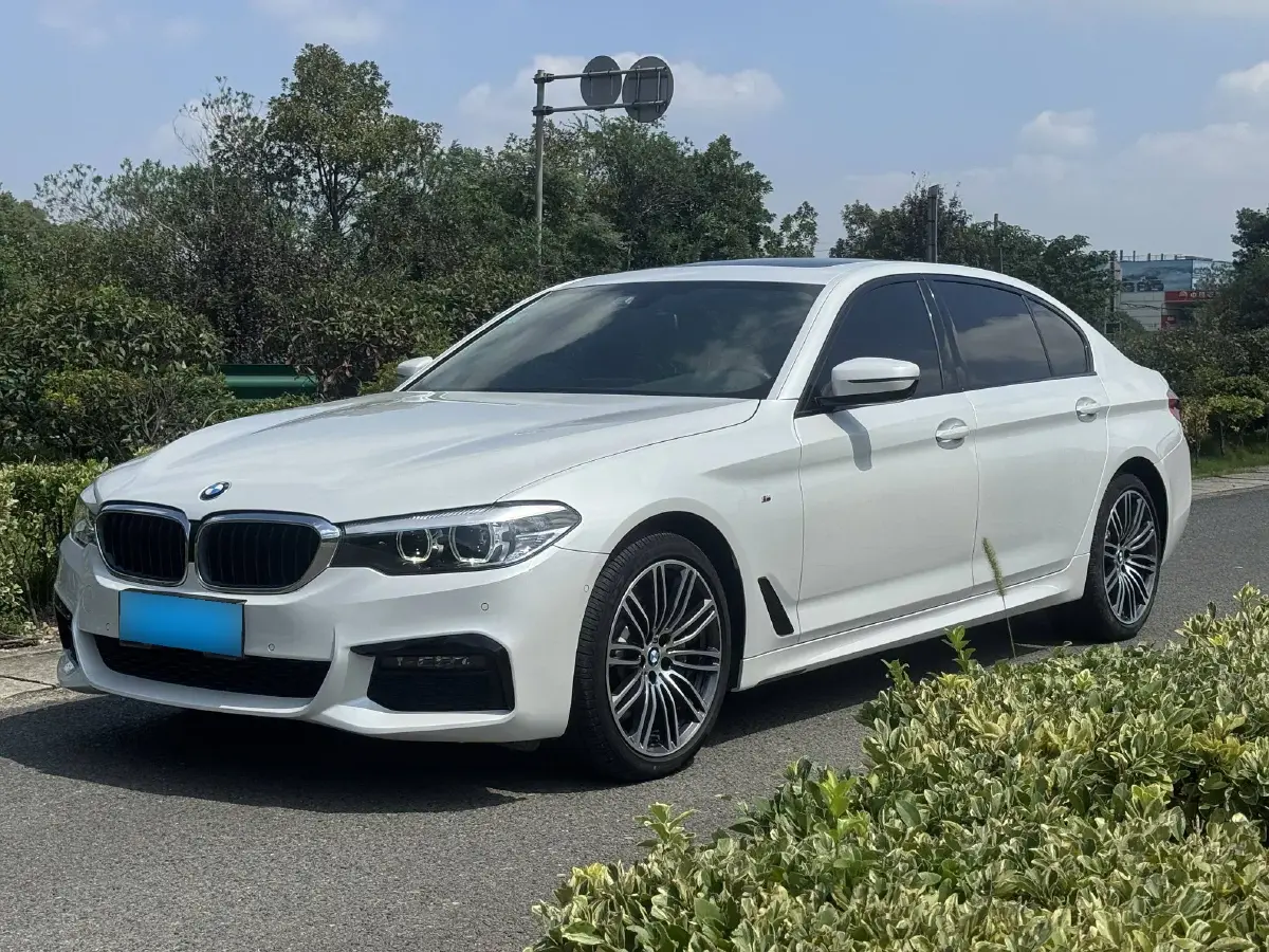 2019 BMW 5 Series 2.0T 252HP L4 8AT