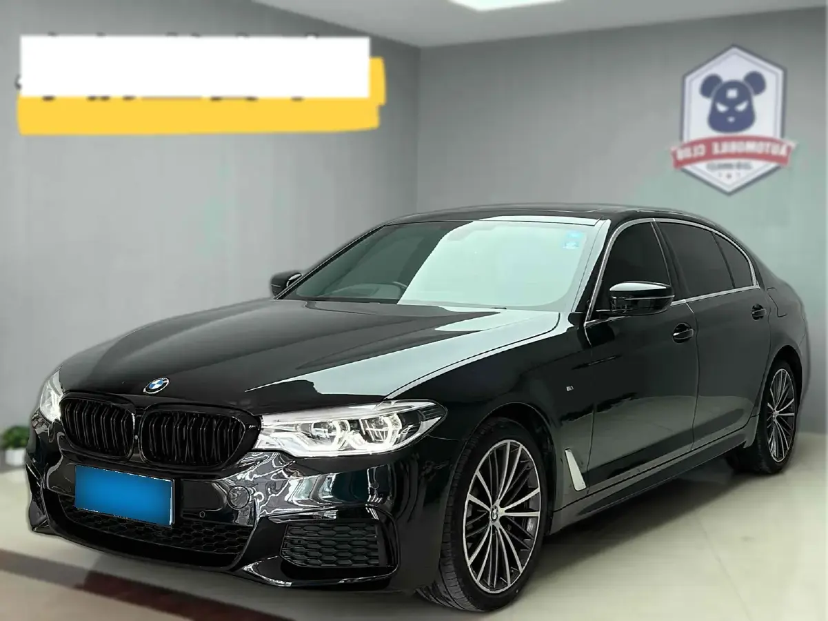 2020 BMW 5 Series 2.0T 252HP L4 8AT