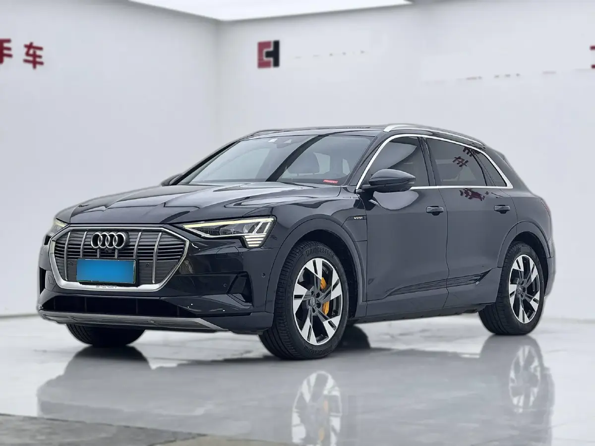 2019 Audi e-tron 2AT BEV 95KWH