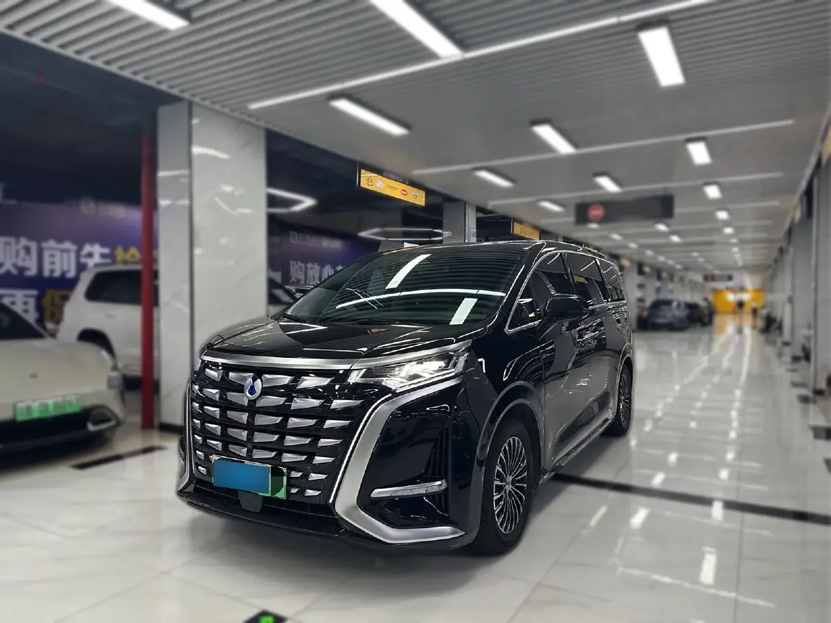 2022 Denza D9 1.5T 139HP L4 E-CVT PHEV 40.06KWH