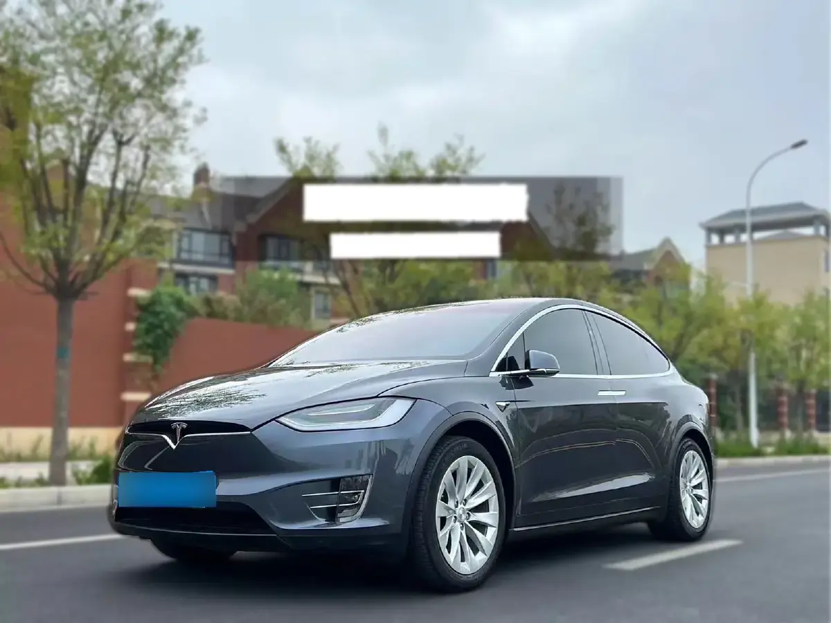 2019 Tesla Model X BEV 100KWH