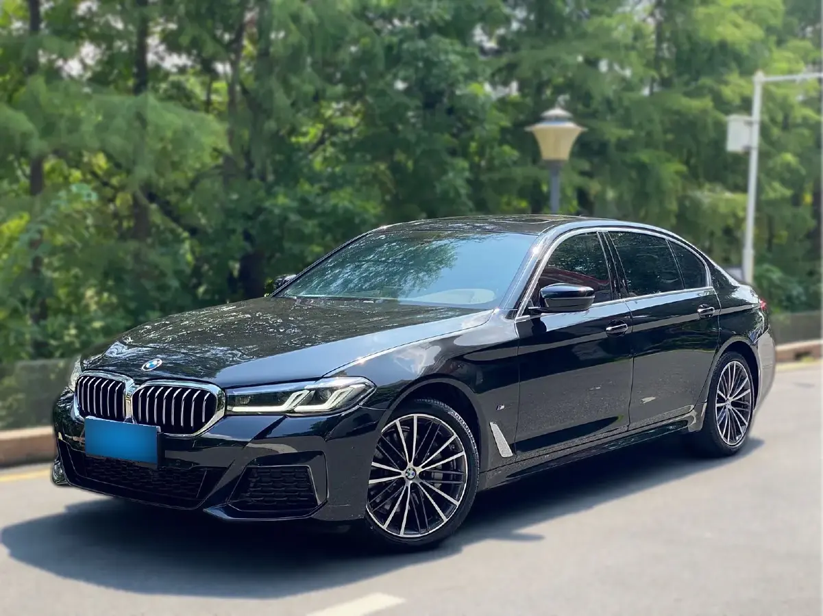 2021 BMW 5 Series 2.0T 252HP L4 8AT
