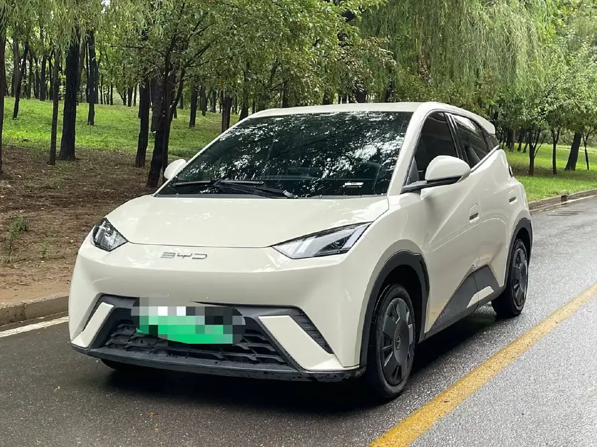 2024 BYD Seagull BEV 30.08KWH