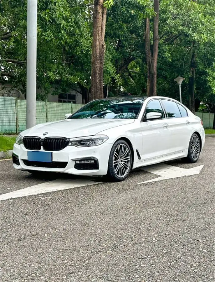 2018 BMW 5 Series 2.0T 252HP L4 8AT