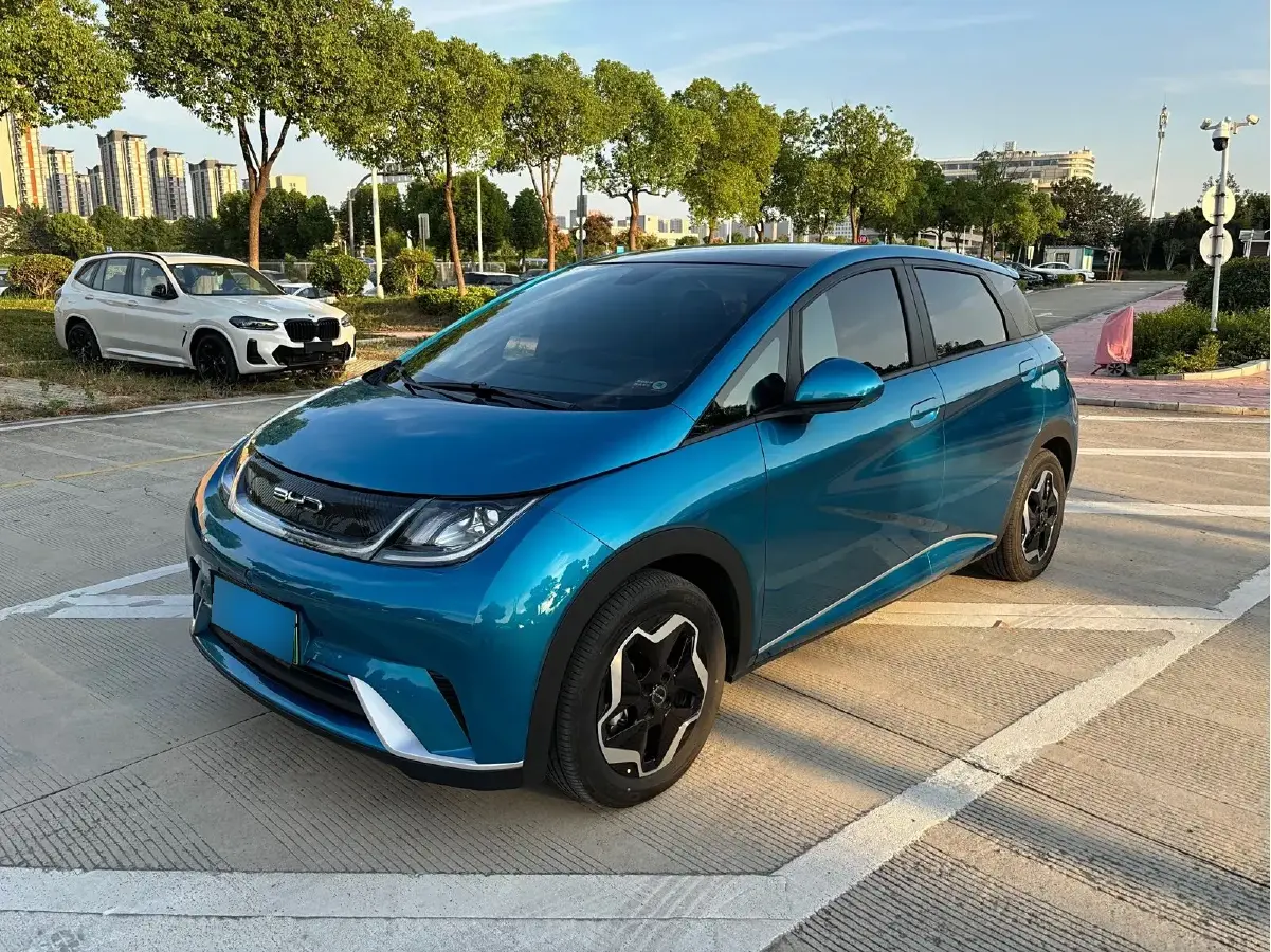 2021 BYD Dolphin BEV 44.9KWH