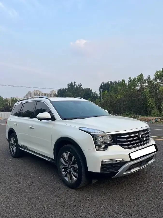 2019 GAC Trumpchi GS8 2.0T 252HP L4 6AT