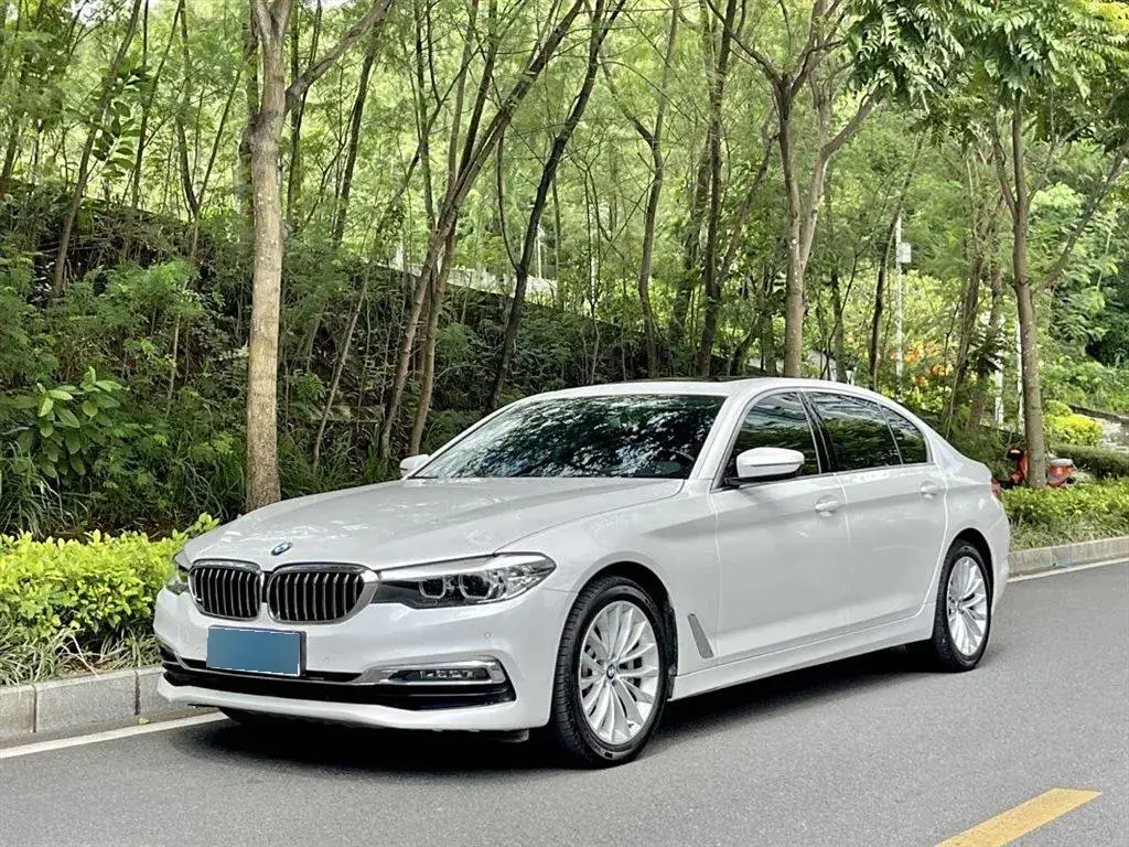 2019 BMW 5 Series 2.0T 252HP L4 8AT