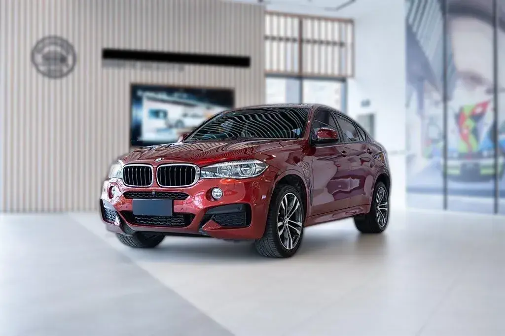 2019 BMW X6 3.0T 306HP L6 8AT