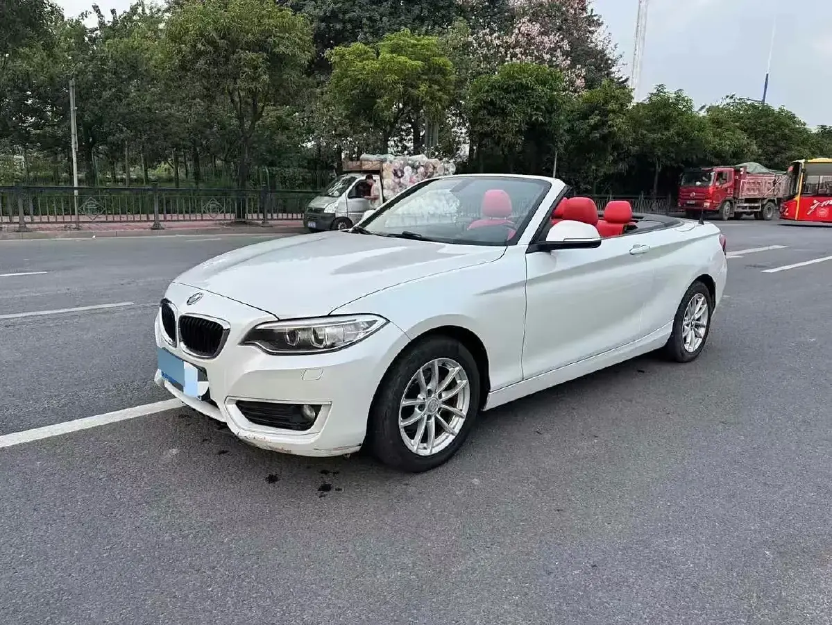 2015 BMW 2 Series 1.5T 136HP L3 8AT