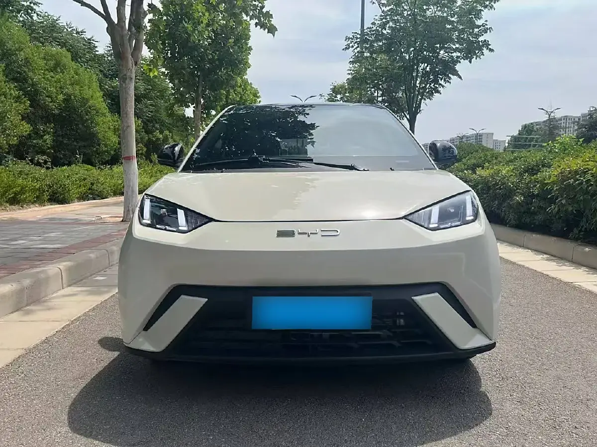 2024 BYD Seagull BEV 30.08KWH