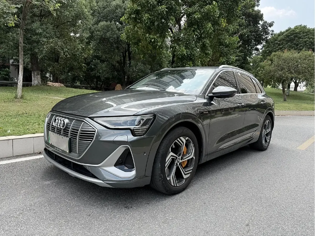 2021 Audi e-tron BEV 96.7KWH