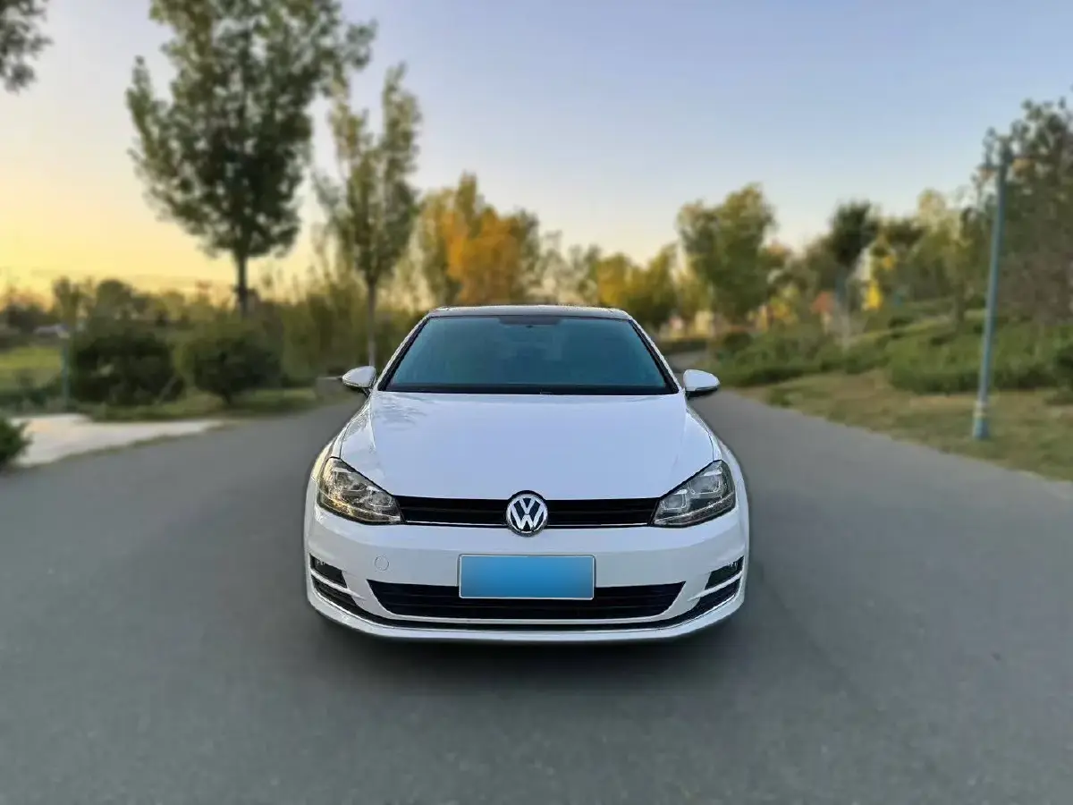 2015 Volkswagen Golf 1.6L 110HP L4 6AT