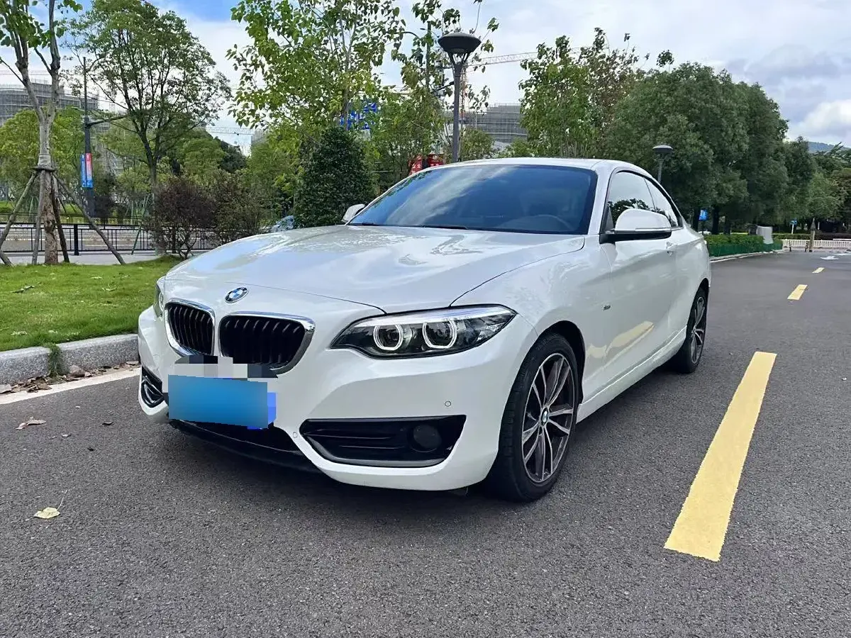 2018 BMW 2 Series 1.5T 136HP L3 8AT