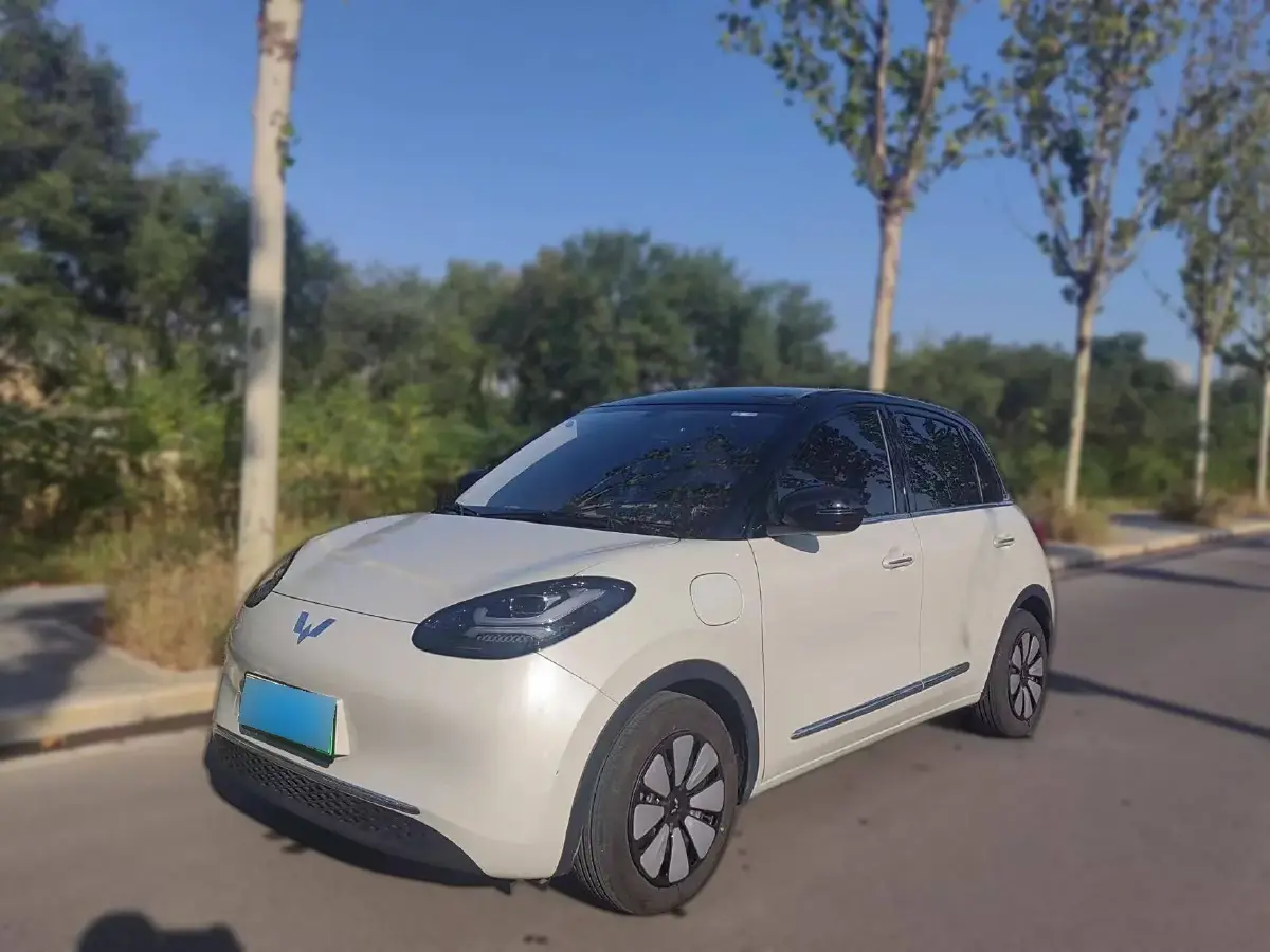 2024 WuLing BinGuo BEV 31.9KWH