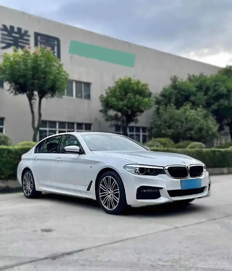 2019 BMW 5 Series 2.0T 252HP L4 8AT