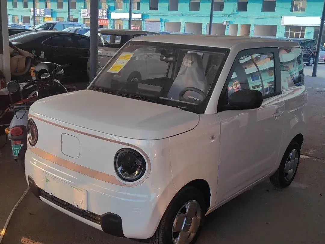 2024 Geely Panda BEV 17.03KWH